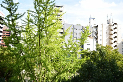 【展望】 | センエイ谷四