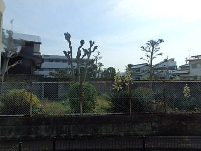 【展望】 | リジェールヒルB棟