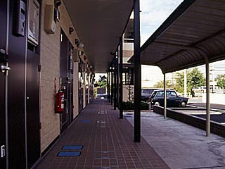 【外観】 | エクセル花畑