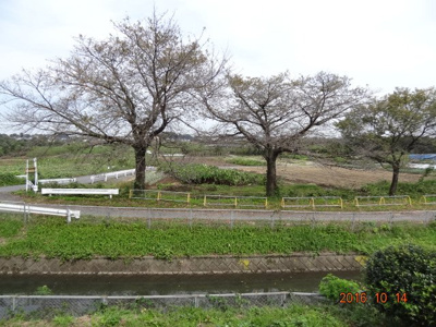 【展望】 | さいたま市緑区宮本1丁目　リフォーム済オール電化中古住宅 | 「さいたま市緑区宮本1丁目　リフォーム済オール電化中古住宅」のここがイチオシ！掃除がラクラクなIHクッキングヒーターならお料理も楽しめます。