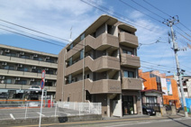 コットンＫの画像