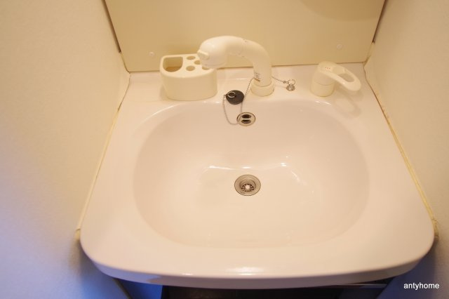 ライジングコート梅田サンライズ　仲介手数料無料の洗面所