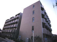 パティオの画像