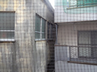 【展望】 | メゾンコダサ　ベランダからの景色　目の前に建物があるため日当たりが良いわけではないですが、しっかりと明かりが入ってきます！