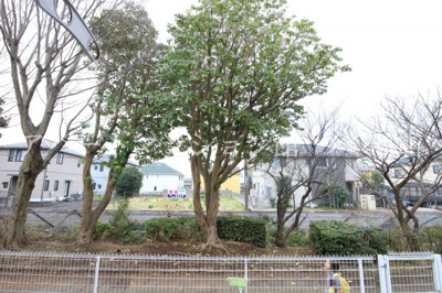 【展望】 | パークサイドエイシュウ