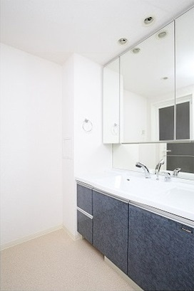 港区三田１丁目の賃貸マンションのその他|洗面
