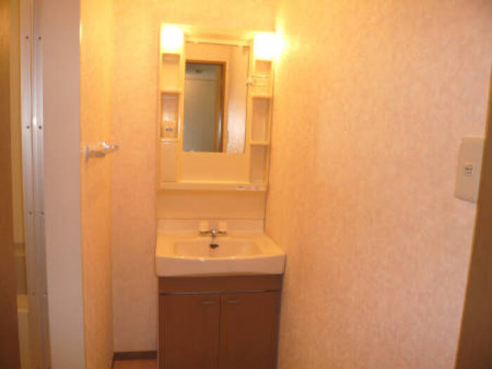 メゾンイシイの洗面所