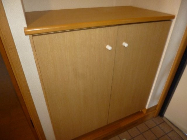 アップフィールドの内装|シューズボックス