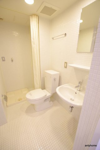 シーズアパートメント中之島　仲介手数料無料の洗面所