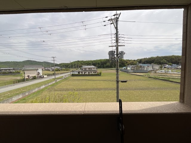 【展望】 | ジラソーレ