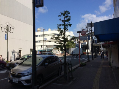 【周辺】 | タウンハイツ南茨木2号館 | 前面道路