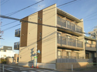 ピングミチマジオの画像