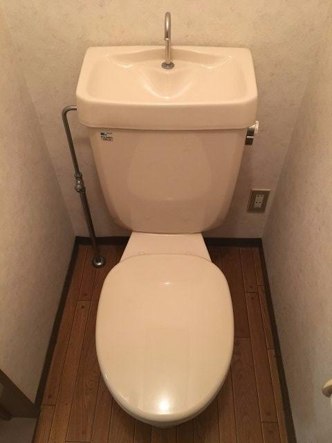 サイドポケットのトイレ