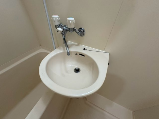 ベルカマラードの洗面所