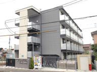 ラピスの画像