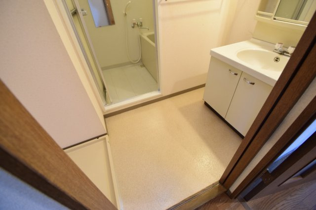 ベルグプレシャデス船橋の洗面所|独立洗面台