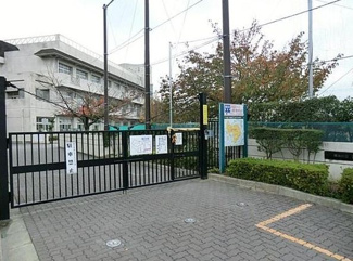 【周辺】 | さつきが丘小学校
