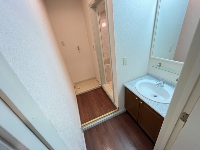 ノーブルハイツⅢの洗面所