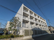 Ｓｕｍｉｃａの画像