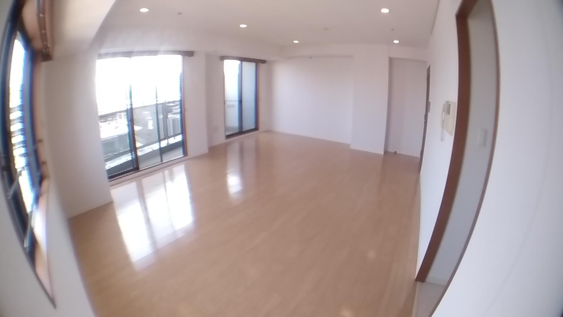 千代田区二番町の賃貸マンションのその他|リビング