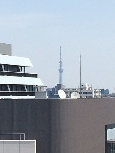 千代田区二番町の賃貸マンションのその他|超ボル
