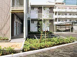 【エントランス】 | アレグリアス