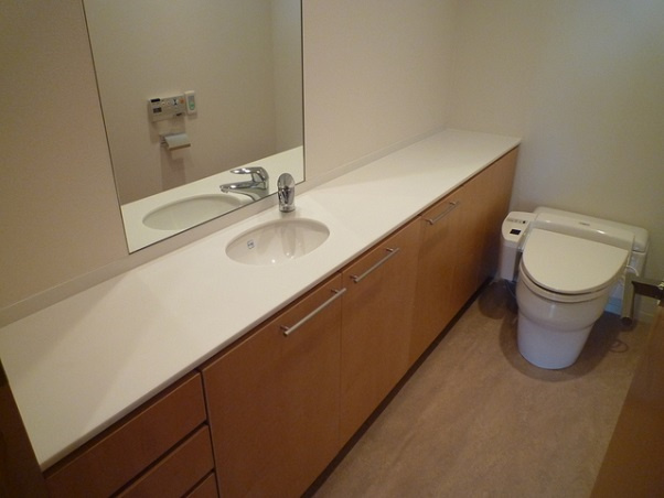 中央区築地１丁目の賃貸マンションのその他|トイレ