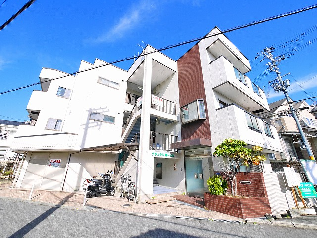 ナチュラルビルの外観|外観もきれいです