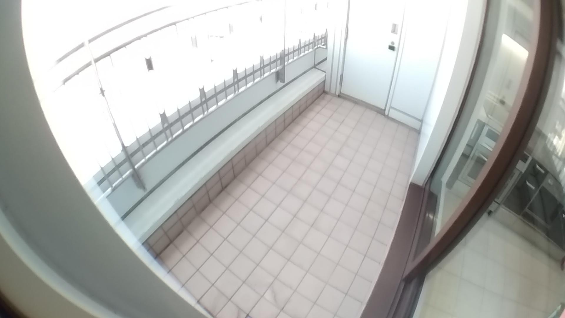 千代田区紀尾井町の賃貸マンションのバルコニー