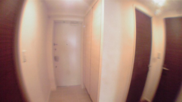 中央区日本橋蛎殻町１丁目の賃貸マンションの玄関