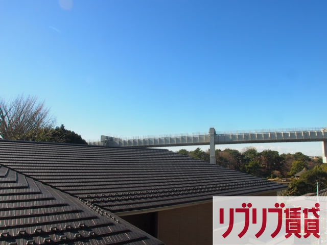リブリ・レイの展望