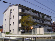 ルポ那珂川の画像