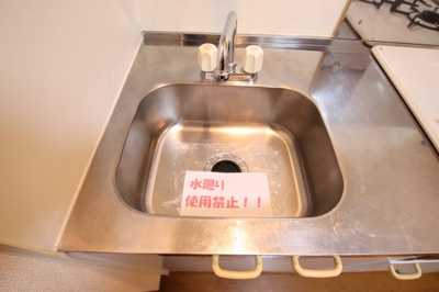 【その他】 | アムールもみの木