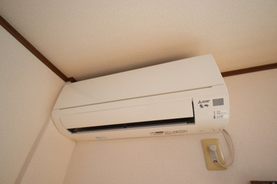 【その他】 | アムールもみの木