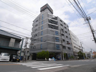 ピュアリティ９０の画像