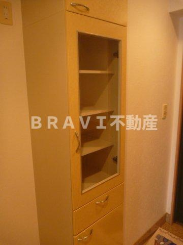 キャナルコート内久宝寺　BRAVI不動産の収納|【キャナルコート内久宝寺】大きなスペースがあり、収納には困りません