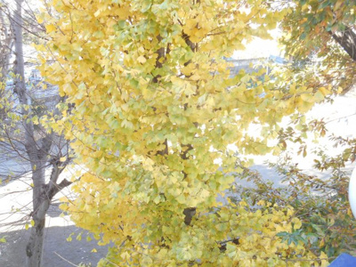 【展望】 | 大宮区　第三アゼリアハイツ　403号室