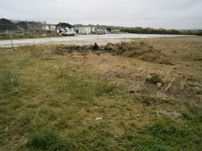 【外観】 | 屋比久貸地 | 現地