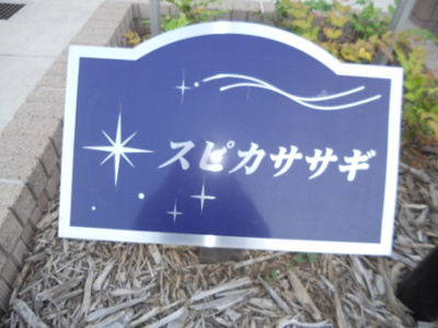 【エントランス】 | スピカササギⅠ