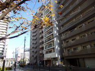 甲南メゾン三宮の画像