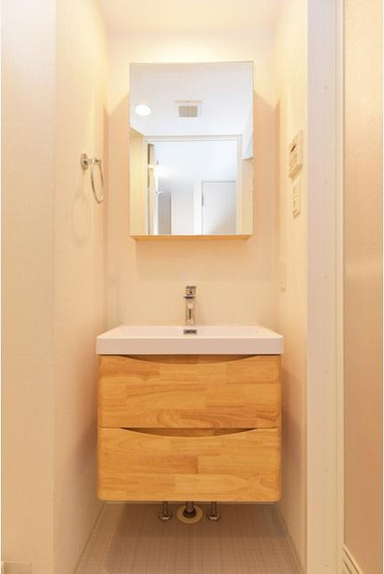 SERENiTE堺筋本町SUD（セレニテサカイスジホンマチエスユーディー）　BRAVI不動産の独立洗面台