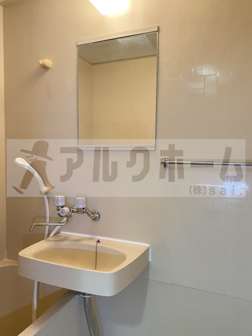 グリーンヒル110の洗面所