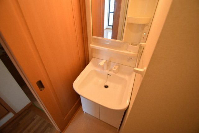 イワセ・ヴィラの洗面所|シャンプードレッサー！