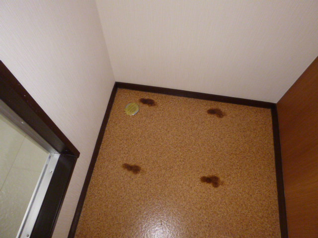 エスポワールヤマテのその他