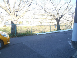 【前面道路含む現地写真】 | 桜並木　です。　すてきです。