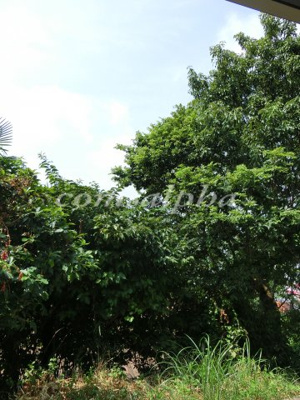 【展望】 | HILL TOP 横濱 | HILL TOP 横濱　眺望