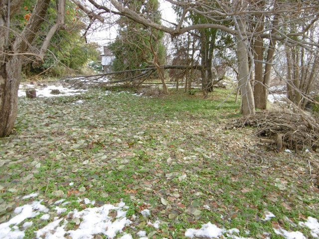 【外観】 | 黒石黒石売地