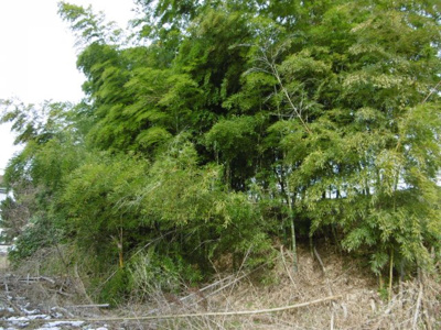 【外観】 | 黒石黒石売地