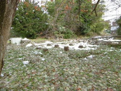 【外観】 | 黒石黒石売地