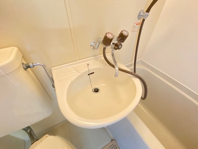 ロイヤルハイツ川西の洗面所